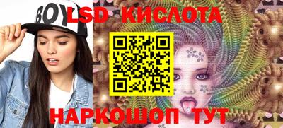 гидропоника Новодвинск