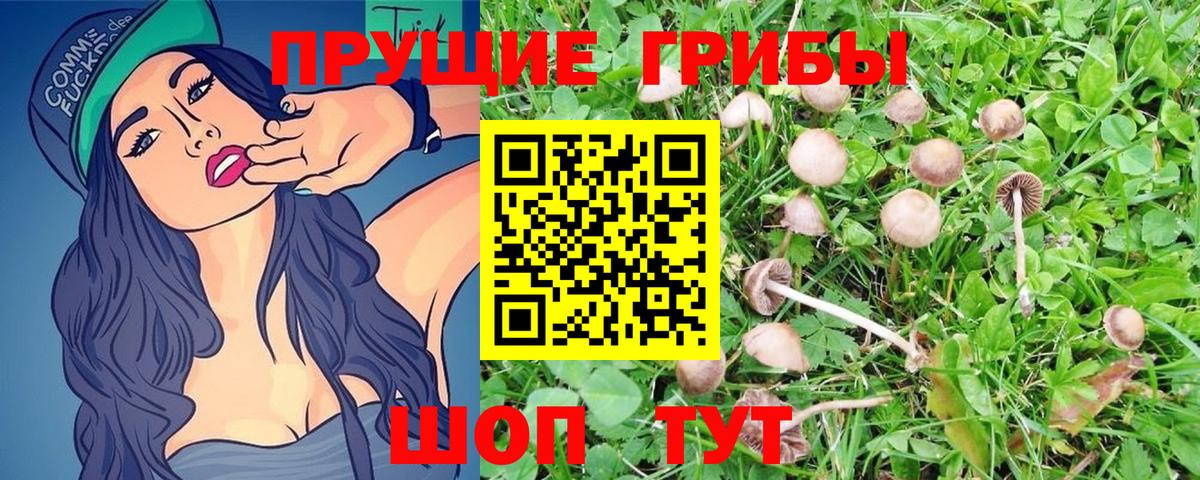 Таганрог  Галлюциногенные грибы Magic Shrooms  Вход с VPN 